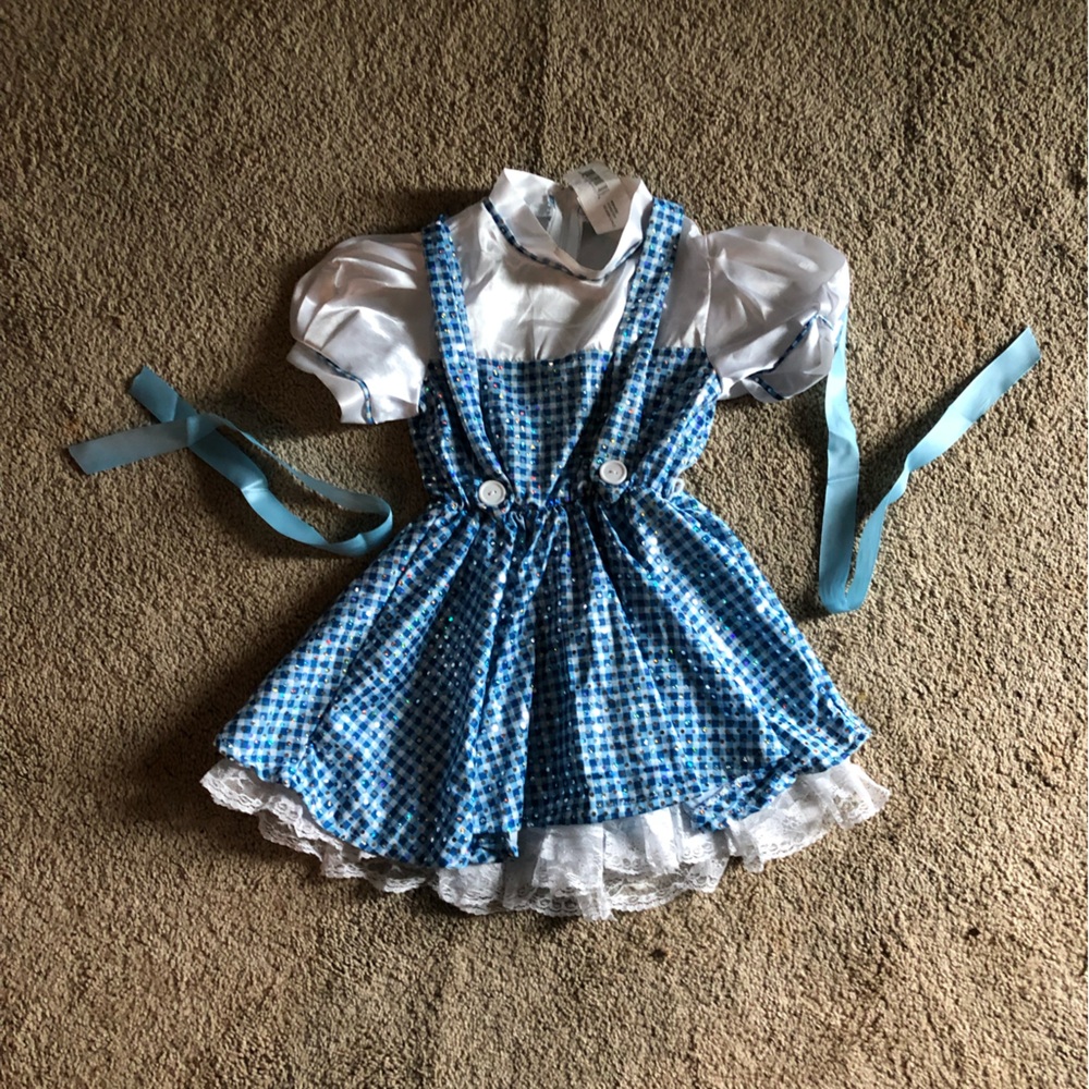 Wizard of Oz Dorothy costume